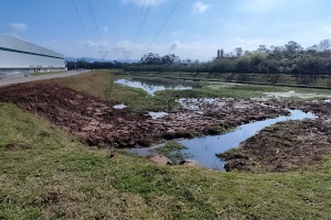 Limpeza de Lagoa