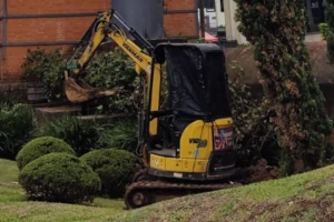 Yanmar Vio20 2.0 Toneladas